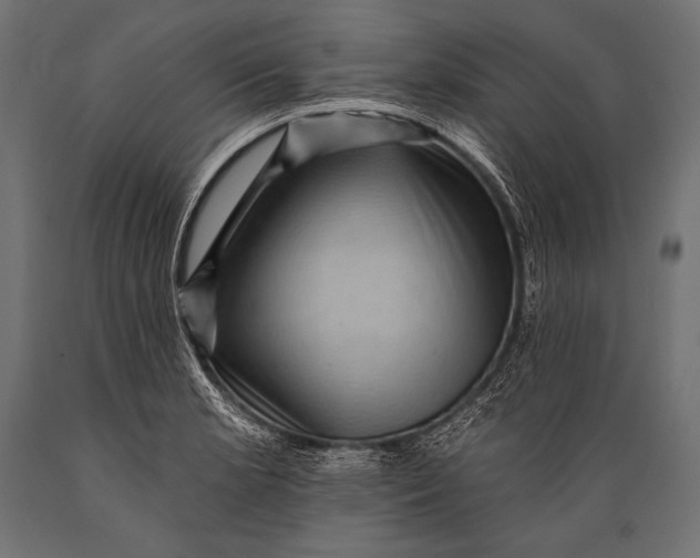 X0000088861181200706291511