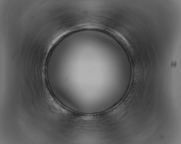 X0000088861182200706291511