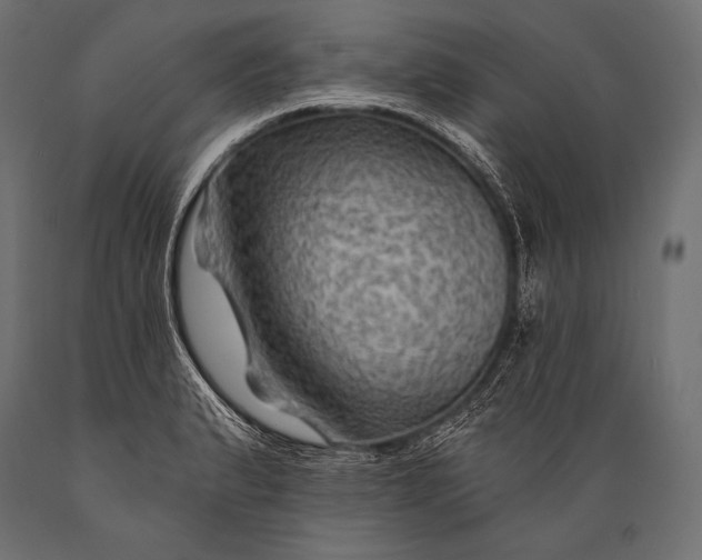 X0000088861183200706291511