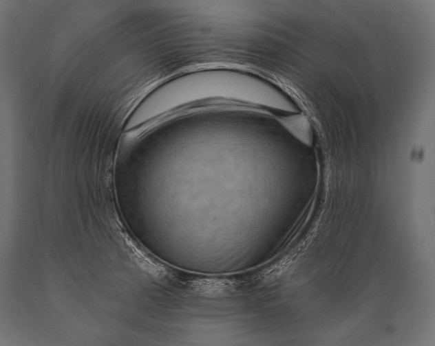 X0000088861185200706291511