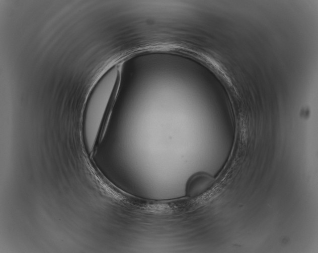 X0000088861186200706291511