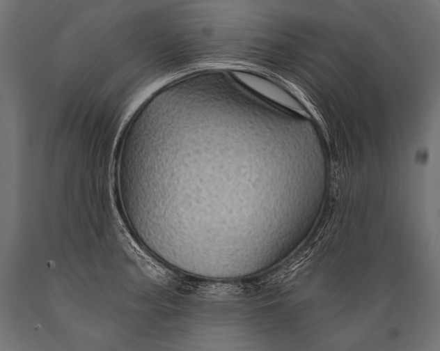 X0000088861187200706291510
