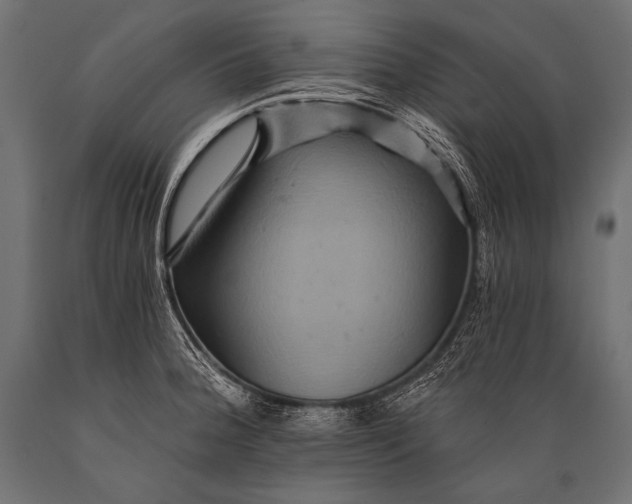 X0000088861188200706291510