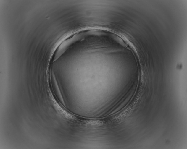 X0000088861189200706291510