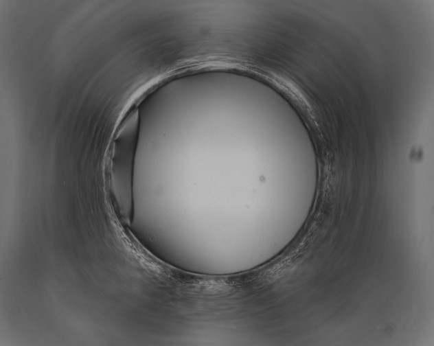 X0000088861190200706291510