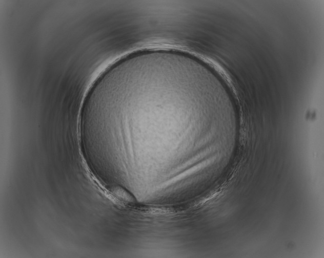 X0000088861191200706291510