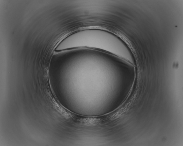 X0000088861193200706291510