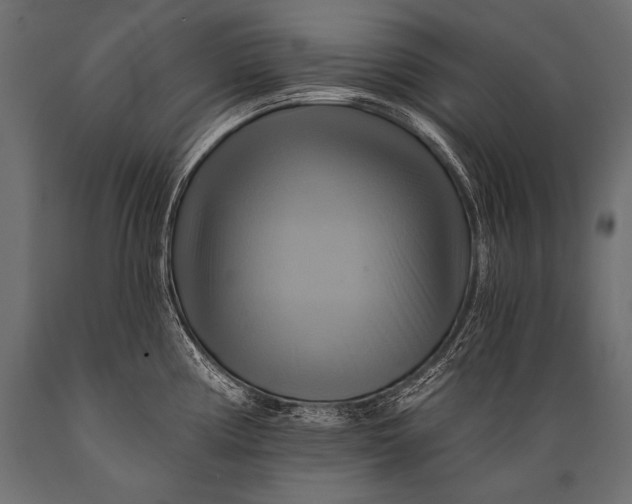 X0000088861194200706291510