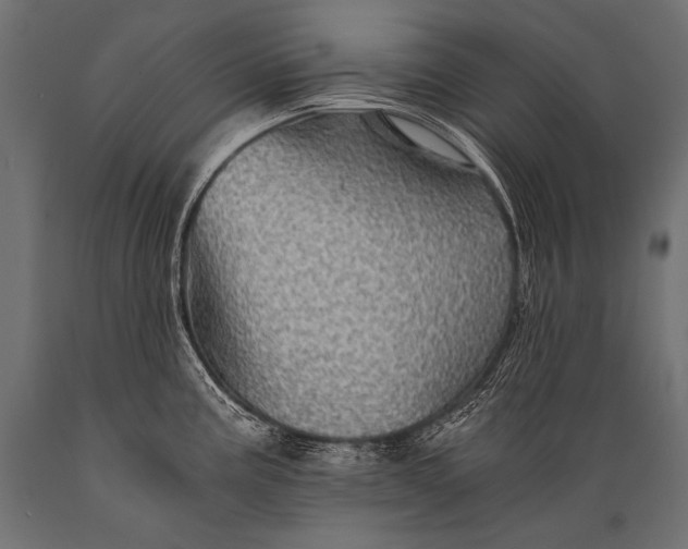 X0000088861195200706291510