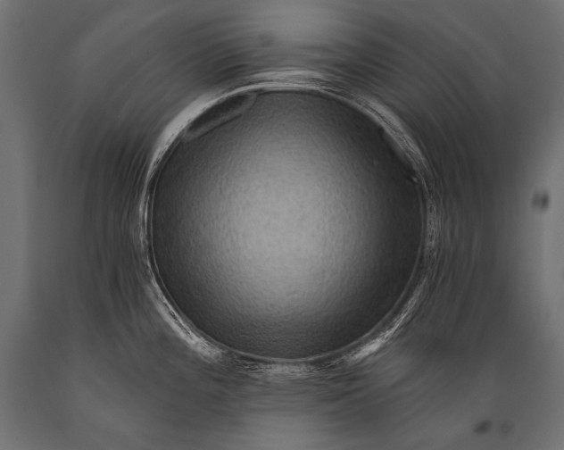X0000088861196200706291510