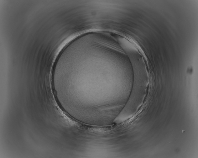 X0000088861197200706291510