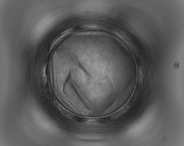 X0000088861198200706291510