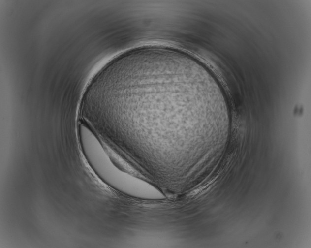 X0000088861199200706291510