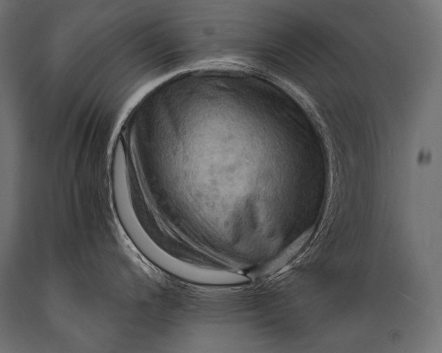X0000088861200200706291510