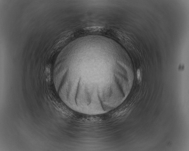 X0000088861203200706291510