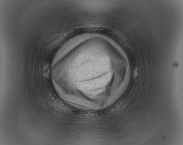 X0000088861204200706291510