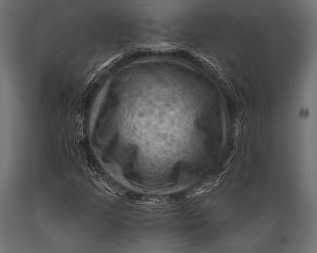X0000088861205200706291510
