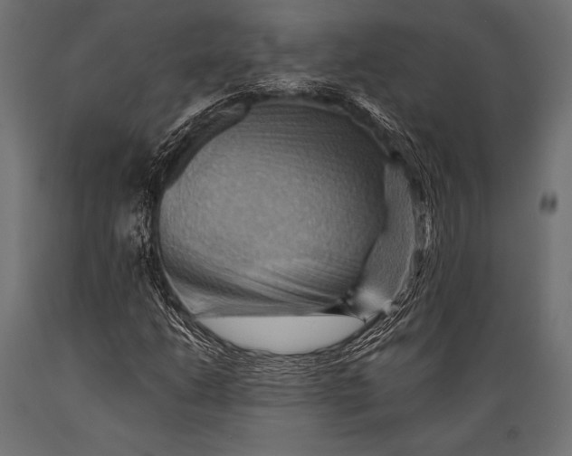 X0000088861206200706291510