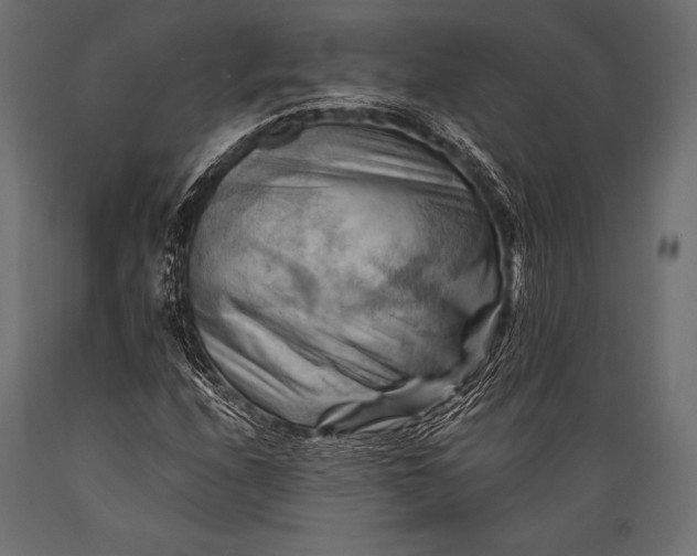 X0000088861208200706291510