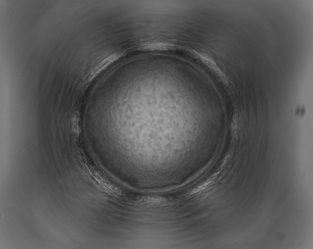 X0000088861209200706291510