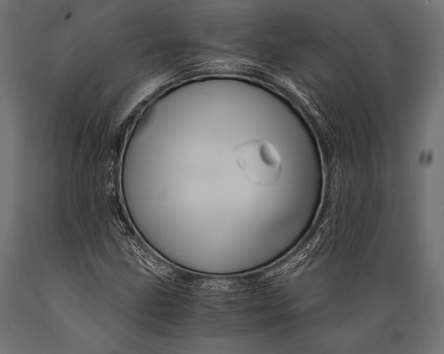 X0000088861211200706291510