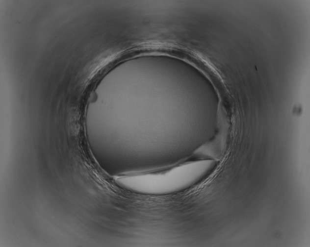 X0000088861213200706291510