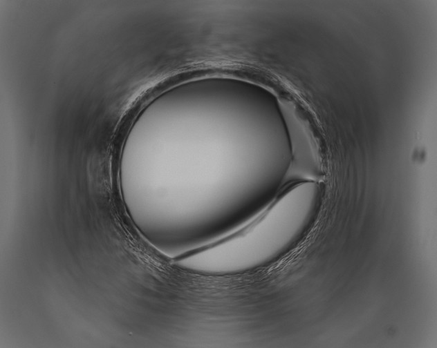 X0000088861214200706291510