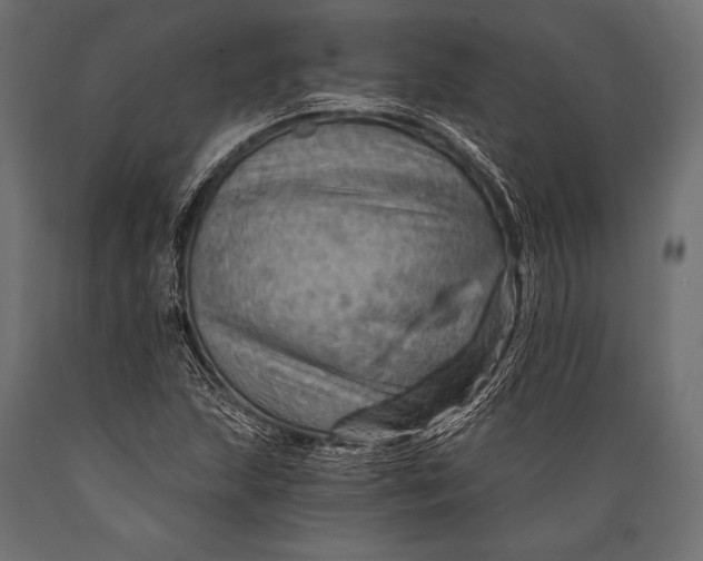 X0000088861215200706291510