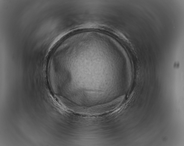 X0000088861216200706291510