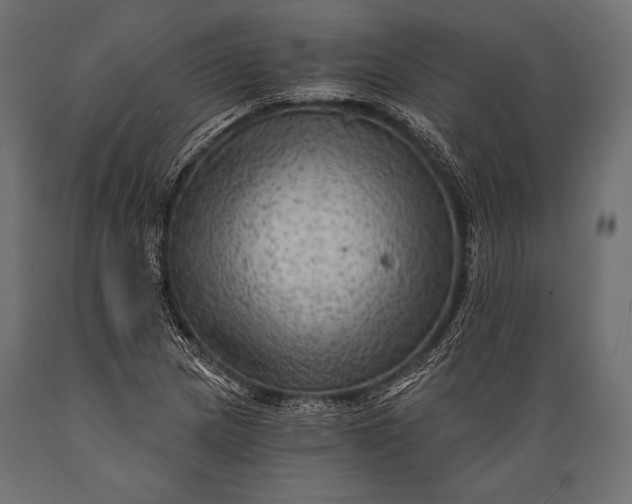 X0000088861217200706291510