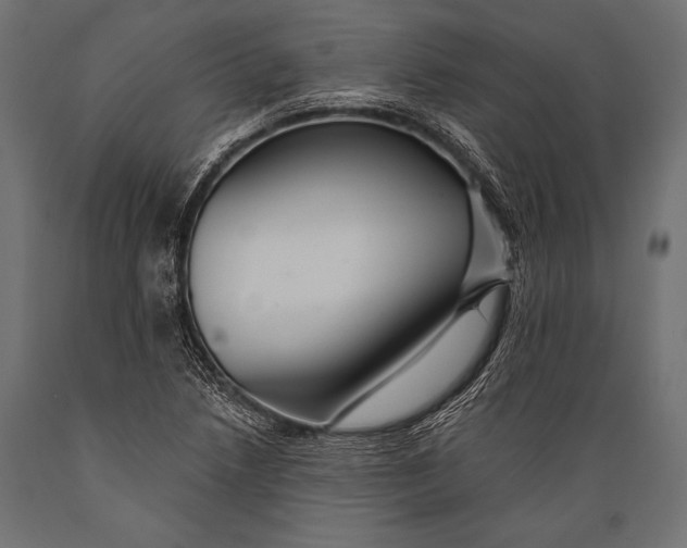 X0000088861218200706291510