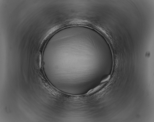 X0000088861219200706291510