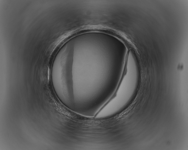 X0000088861221200706291510