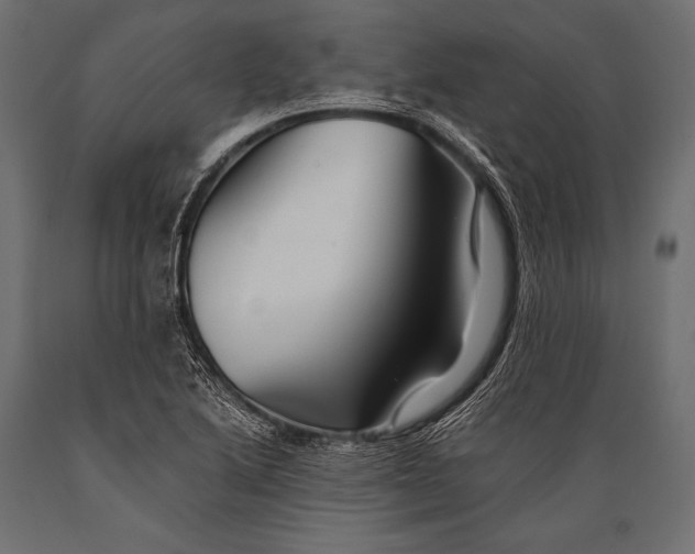 X0000088861222200706291510