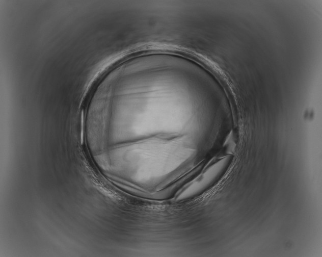 X0000088861223200706291510