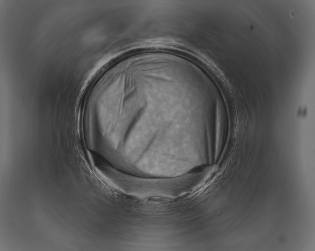 X0000088861224200706291510