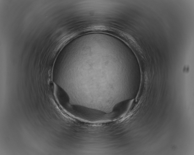 X0000088861225200706291510
