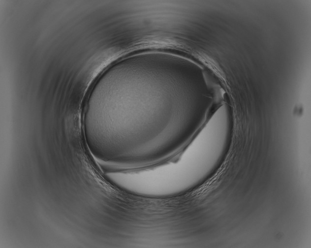 X0000088861226200706291510
