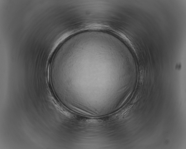 X0000088861227200706291510