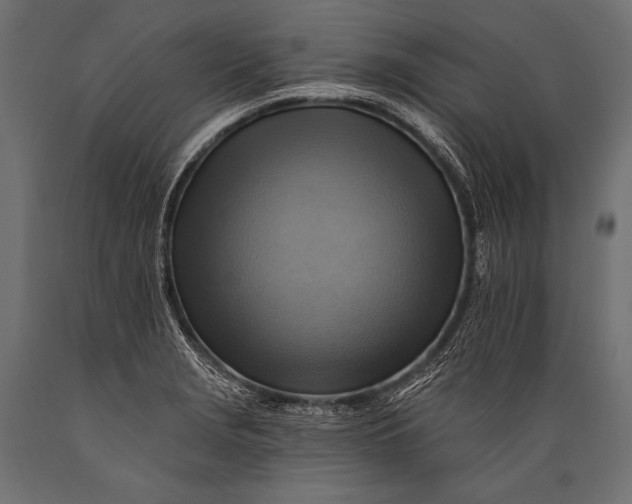 X0000088861229200706291510