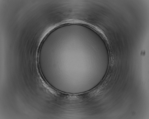 X0000088861231200706291510