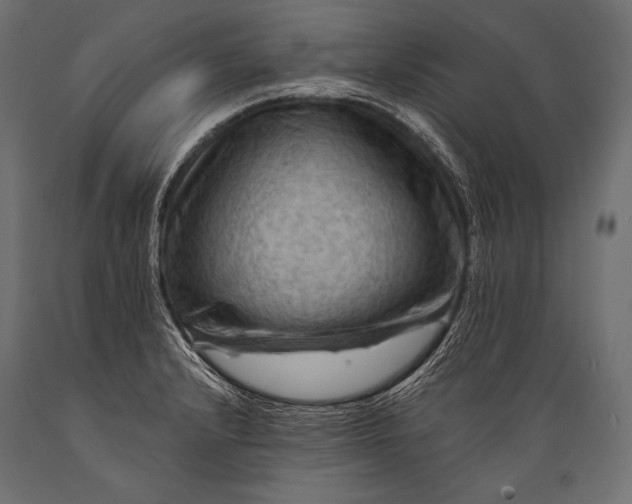 X0000088861232200706291510