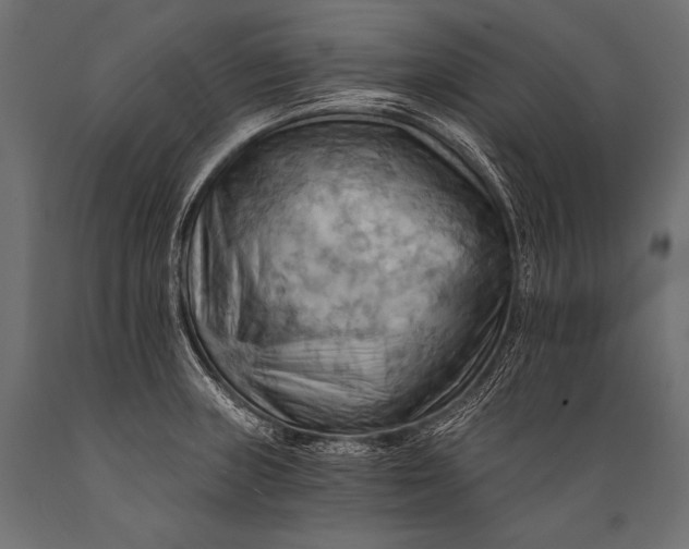 X0000088861235200706291510