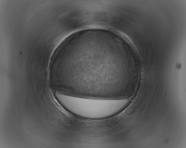 X0000088861236200706291510