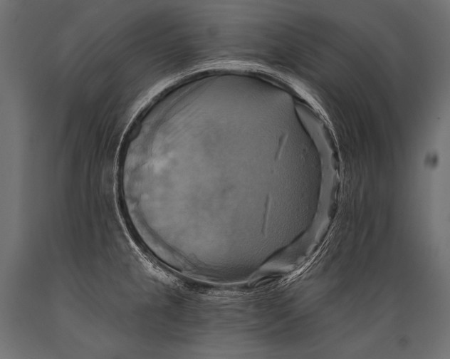 X0000088861237200706291510