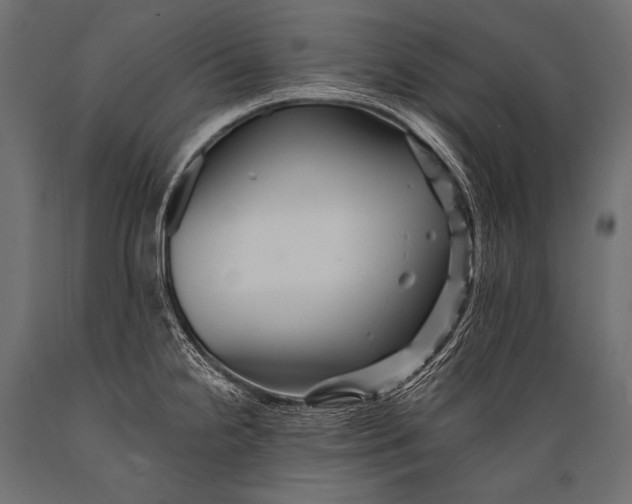 X0000088861238200706291510