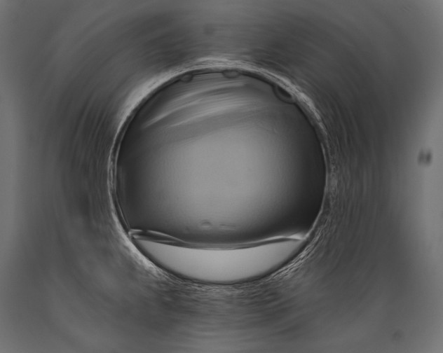 X0000088861239200706291510