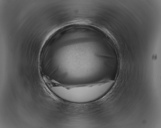 X0000088861240200706291510