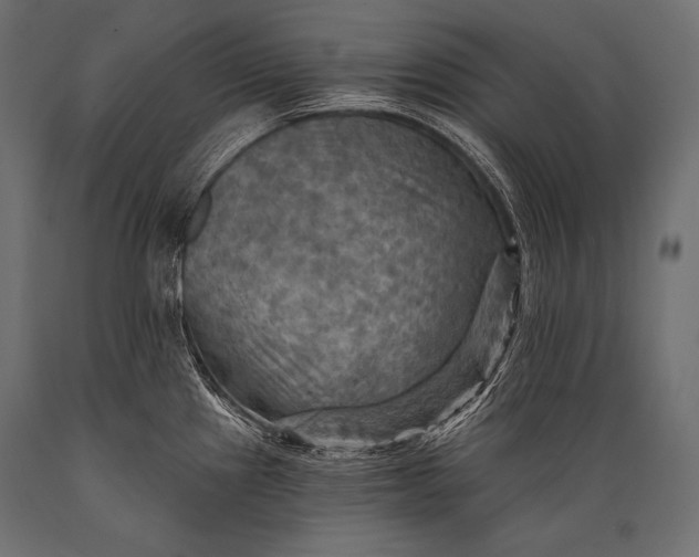 X0000088861241200706291510
