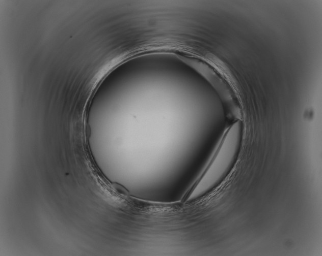 X0000088861242200706291510